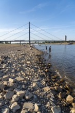 Rhine near Düsseldorf, extremely low water, Rhine level at 81 cm, tendency falling, after a long