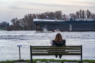 Flood on the Rhine, flooded banks of the Rhine, old ferry landing stage, Rhine meadows, near