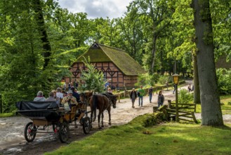 The village of Wilseder, old farms, in the Lüneburg Heath nature reserve, Lower Saxony, Germany,