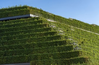 Largest green façade in Europe, on the Kö-Bogen II, building, shopping and office building on