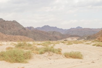 Desert, red mountains, rocks and cloudy sky. Egypt, the Sinai Peninsula, Dahab