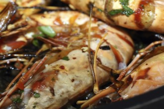 Grilled black tiger prawns