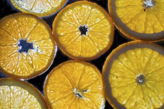 Transparent slices of fresh oranges and lemons on the glass