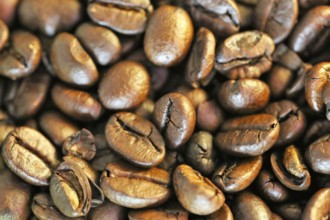 Close up view coffee beans