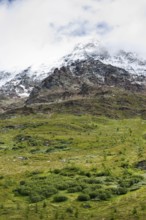 Mountain panorama at the Fafleralp in Valais, Bernese Alps, Lötschental, hiking, mountains, nature,