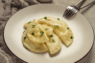 Pierogi, ein traditionelles Gericht der polnischen Küche, Knödel, Draufsicht, Nahaufnahme, keine