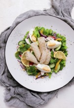 Salad of squid and vegetables, with egg, homemade, no people