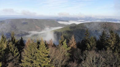 Aerial view of the Palatinate Forest in autumn