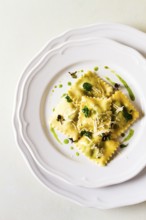 Ravioli with spinach and cheese, green sauce, on a light background, selective focus, no people