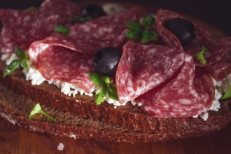 Sandwich, grain bread, with cream cheese and salami, black olives, micro-greens, top view,