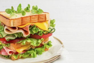 Club sandwich, on a white table, close-up, no people, horizontal, homemade