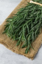 Fresh Tarragon, bunch, top view, close-up, no people