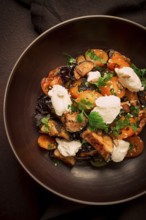 Warm Salad with crispy eggplant and tomatoes, cottage cheese, spices, herbs, sesame seeds,