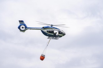 Forest fire fighting exercise of the Essen fire brigade, the water supply was rehearsed over longer