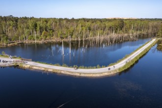 Whitsun lake in the Kirchheller Heide, near the HeidhofWhitsun lake in the Kirchheller Heide, near