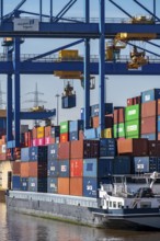 Container cargo ship in the harbour basin of the Logport, gantry cranes in the Container Handling