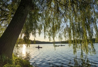 Lake Baldeney, kayaks, summer evening on the eastern shore, Essen, North Rhine-Westphalia, Germany,