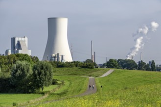 The STEAG Walsum coal-fired power plant, in Duisburg, Rheinwiesen, North Rhine-Westphalia, Germany,