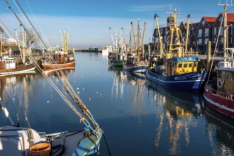 The harbour of Neuharlingersiel, East Frisia, Lower Saxony, fishing boats, fishing cutter,