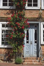 Europe, Germany, Mecklenburg-Western Pomerania, Bützow, half-timbered house with hollyhocks,