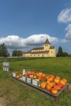 Oberzell, Reichenau Island, St. George's Parish Church, UNESCO World Heritage Site, pumpkin sale,