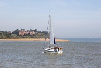 Sailing boat yacht in channel at mouth of River Deben estuary view Felixstowe Ferry to Bawdsey