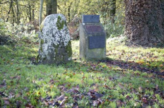 Swanborough Tump, Swinbeorg 850AD, Anglo Saxon meeting place, near Woodborough, Wiltshire, England,