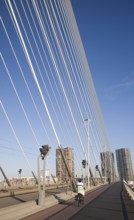 Erasmus Bridge, Erasmusbrug, spanning the River Maas designed by architect Ben van Berkel completed