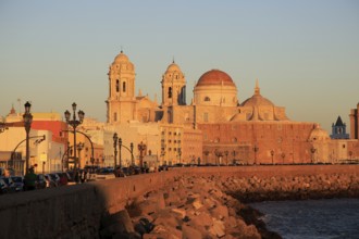 Cathedral church buildings viewed from the sea front, Cadiz, Spain, Europe