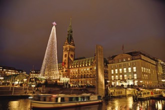 Europe, Germany, Hamburg, City Hall, Christmas, Tree of Lights, Hamburg, Hamburg, Federal Republic