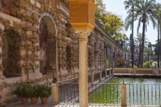 Jardines del Alcazar, gardens with palm trees in the Alcazar, Royal Palace of Seville, Seville,