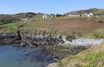 South Harbour bay and houses, Cape Clear Island, County Cork, Ireland, Irish Republic, Europe