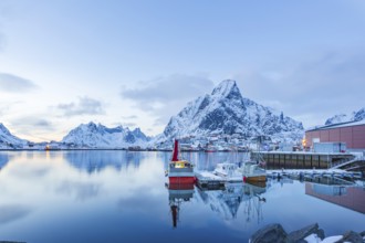 Fishing village Reine on Lofoten Islands at night, Reine, Norway, Europe