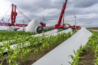 Repowering, dismantled Enercon E-58 wind turbine in a wind farm near Issum, 9 older wind turbines