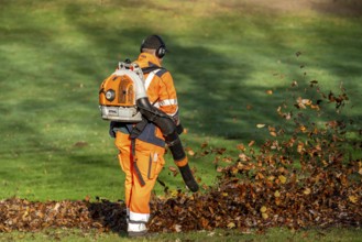 Leaf blower, removal of autumn leaves in a municipal park, Duisburg, North Rhine-Westphalia,