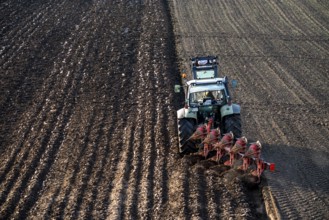 Farmer ploughing a field, tractor with plough, near Neuss, North Rhine-Westphalia, Germany, Europe