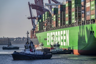 Container ship Ever Gifted, arriving at the port of Hamburg, Waltershofer Hafen, HHLA Container