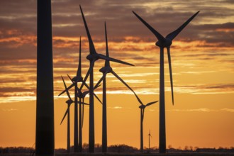 Wind farm near the East Frisian town of Norden, east of the town, sunset, Lower Saxony, Germany,