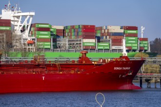 Container ship Ever Gifted, enters the port of Hamburg on the Elbe, shipping company Evergreen,