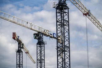 Construction cranes on two large construction sites, construction of office buildings in