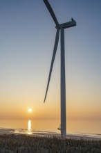 ENECO wind farm on the dike around the harbour Maasvlakte 2, 22 wind turbines with a capacity of