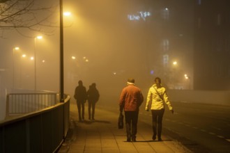 Pedestrians, darkness, city centre traffic, fog, autumn, winter, Essen, North Rhine-Westphalia,