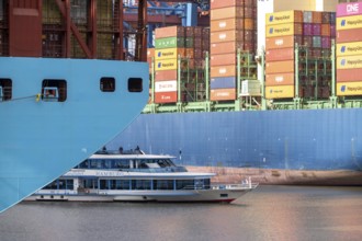 Harbour tour in Waltershofer Hafen, HHLA Container Terminal Burchardkai, HMM Nuri container