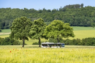 Country road between Hirschberg and Warstein, local bus, public transport, bus transport,