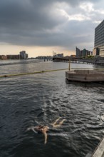 Leisure facilities in Copenhagen harbour, Bølgen afslapningsanlæg, jetties with bathing areas,