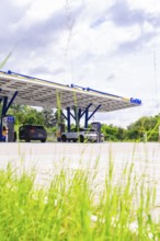 Close-up of grass, behind it EnBW charging stations with solar-powered roof and electric cars, ENBW