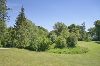 Triestpark, Thielallee, Dahlem, Steglitz-Zehlendorf, Berlin, Germany, Europe