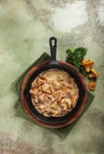 Fried chanterelle mushrooms, in cream sauce, in a cast-iron pan, homemade, no people