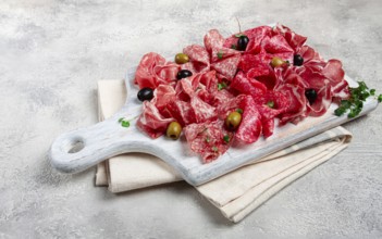 Assorted, meat appetizer, prosciutto, salami and ham, with olives, on a wooden white board, light