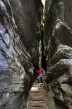 Trail with stairs leading through narrow gorge in the sandstone rock formation Perekop in Berdorf,